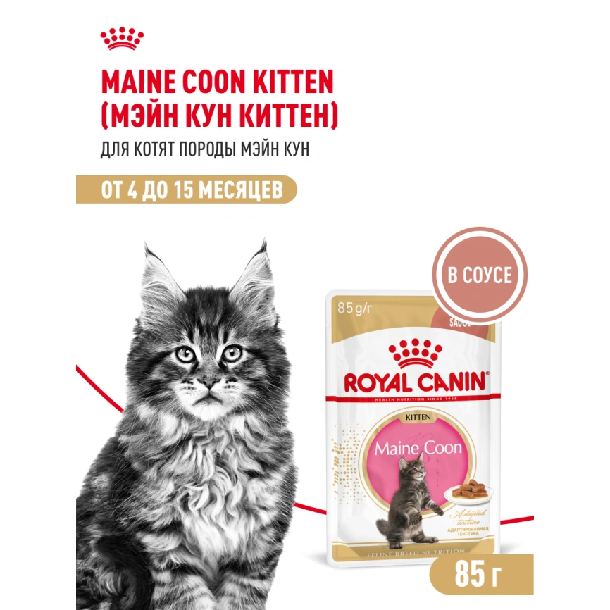 Влажный корм Royal Canin Maine Coon Kitten в соусе для котят породы мейн-кун и других крупных пород старше 3 месяцев, пауч, 85 г фото 18