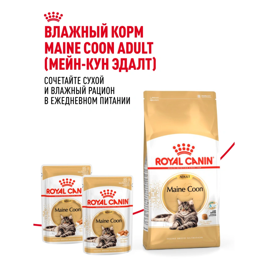 Сухой корм Royal Canin Maine Coon для кошек, 400 г фото 29