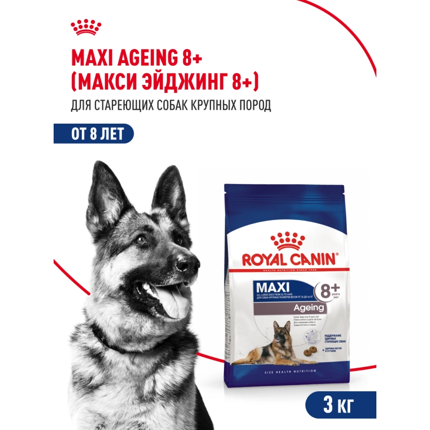 Сухой корм Royal Canin Maxi Ageing 8+ для собак, 3 кг фото 13