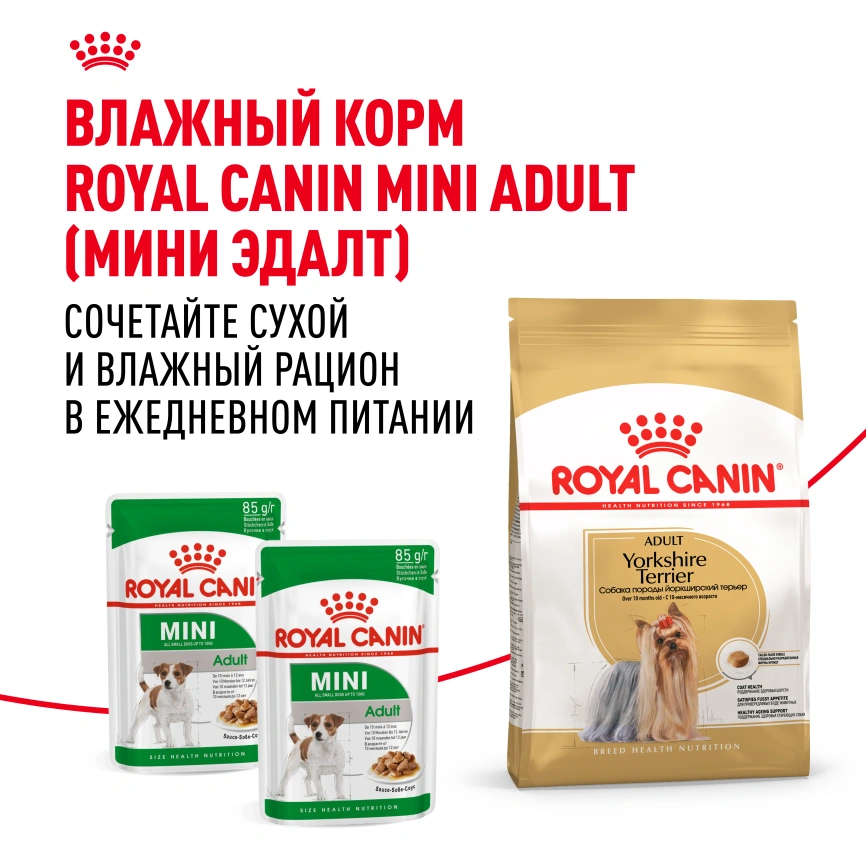 Сухой корм Royal Canin Yorkshire Terrier Adult для взрослых собак, 500 г фото 12