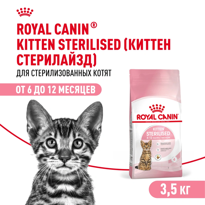 Сухой корм Royal Canin Kitten Sterilised для котят, 3,5 кг фото 1