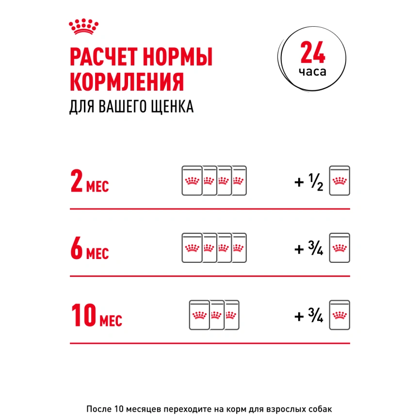 Влажный корм Royal Canin Mini Puppy в соусе для щенков мелких пород до 10 месяцев, пауч, 85 г фото 8