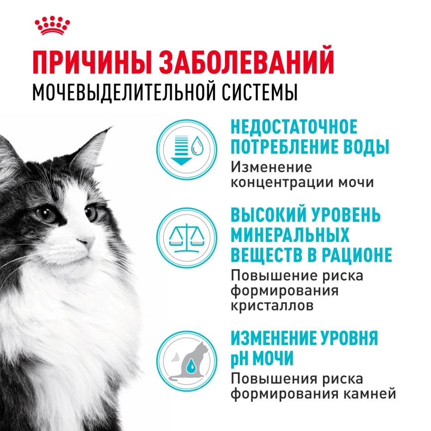 Сухой корм Royal Canin Urinary Care для поддержания здоровья мочевыделительной системы кошек, 4 кг фото 2