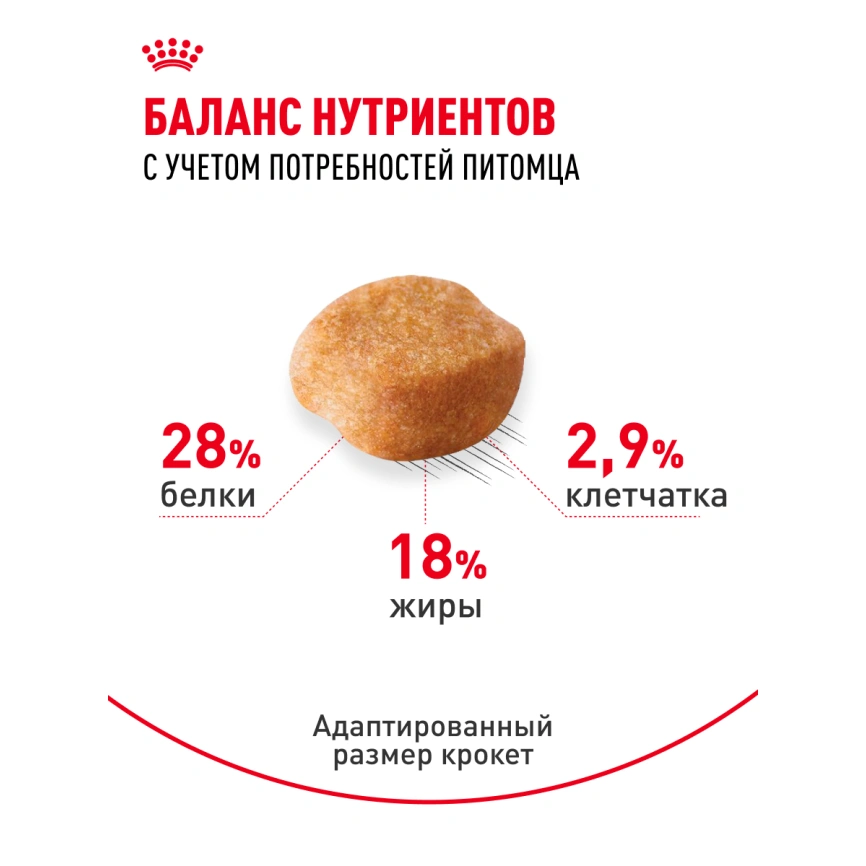 Сухой корм Royal Canin Yorkshire Terrier Adult для взрослых собак, 500 г фото 19