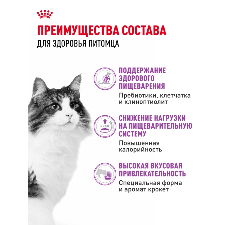 Сухой корм Royal Canin Sensible для кошек, 4 кг фото 18