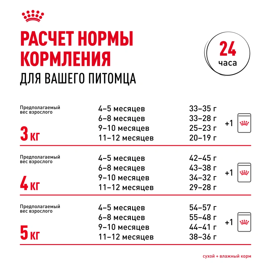 Сухой корм Royal Canin Sphynx Kitten для котят породы сфинкс до 12 месяцев, 400 г фото 8