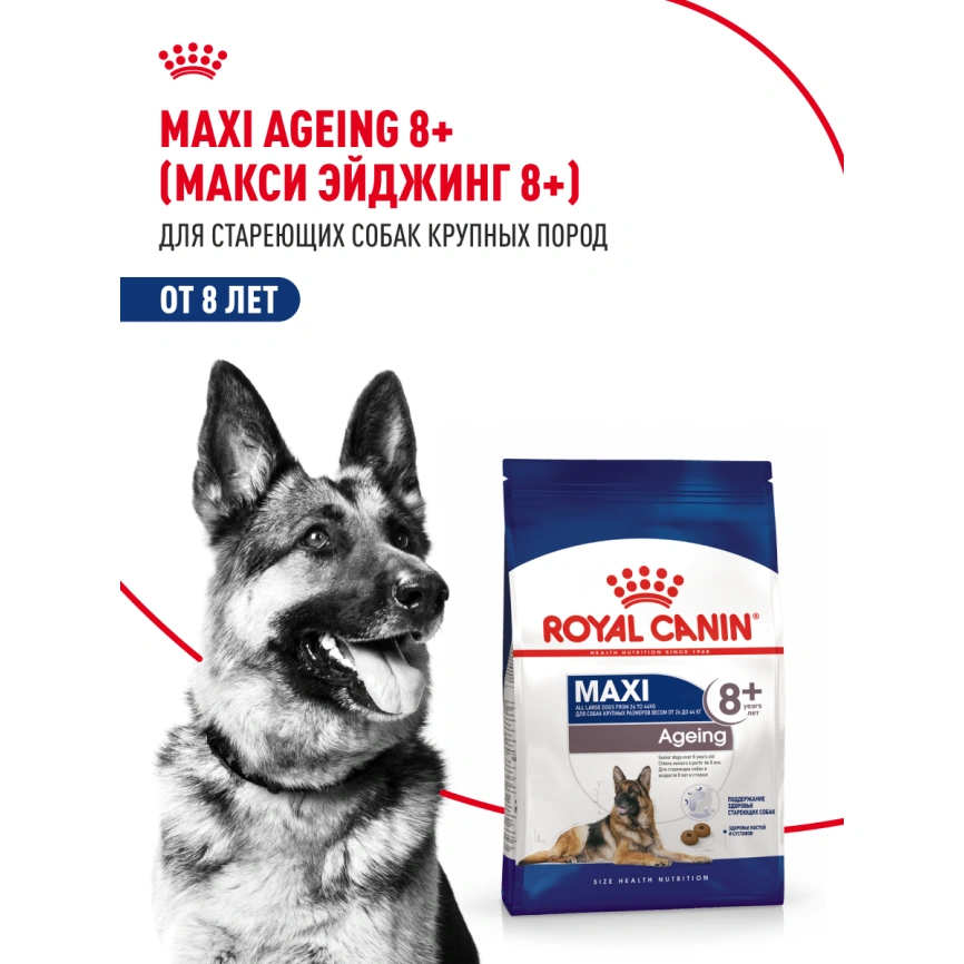 Сухой корм Royal Canin Maxi Ageing 8+ для собак, 15 кг фото 11