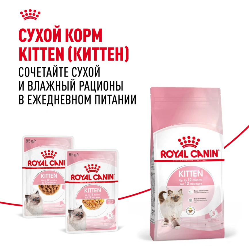 Влажный корм Royal Canin Kitten в желе для котят до 12 месяцев, пауч, 85 г фото 10