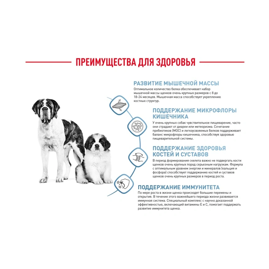 Сухой корм Royal Canin Giant Junior для щенков, 3,5 кг фото 16