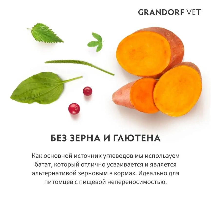 Сухой корм Grandorf Veterinary Dermatosis для собак при дерматозах, 1 кг фото 4