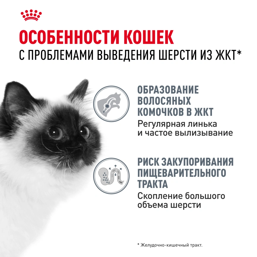 Сухой корм Royal Canin Hairball Care для кошек, 400 г фото 2