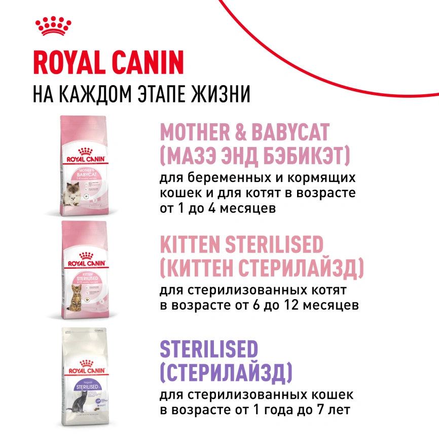 Сухой корм Royal Canin Kitten для котят, 1,2 кг фото 10