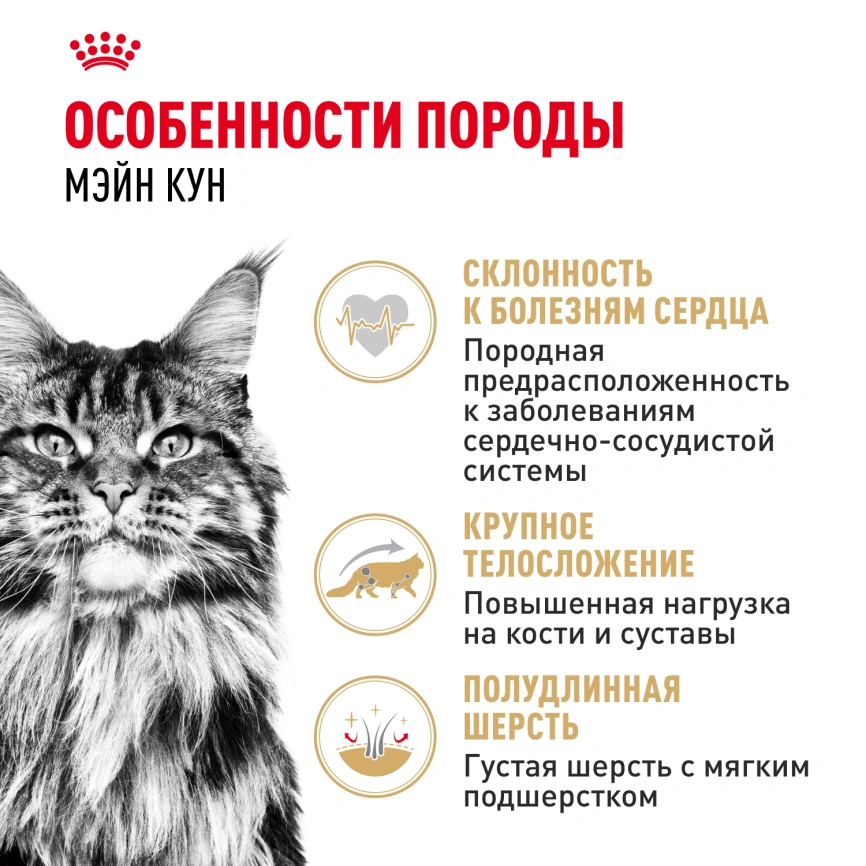 Влажный корм Royal Canin Maine Coon в соусе для кошек породы мейн-кун и других крупных пород старше 1 года, пауч, 85 г фото 2