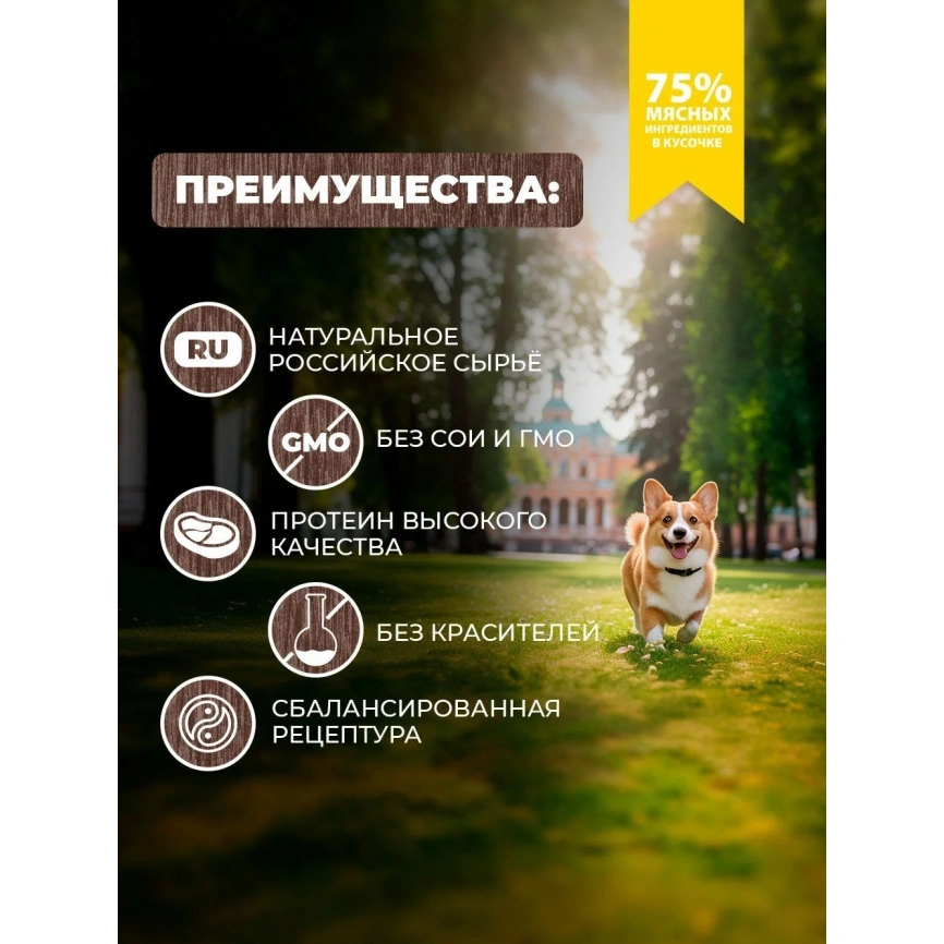 Влажный корм Родные корма для собак, куриные кусочки в соусе по-курски, 410 г фото 2