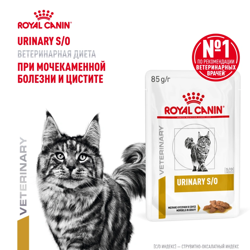 Влажный корм Royal Canin Urinary S/O в соусе для кошек при мочекаменной болезни, пауч, 85 г фото 14