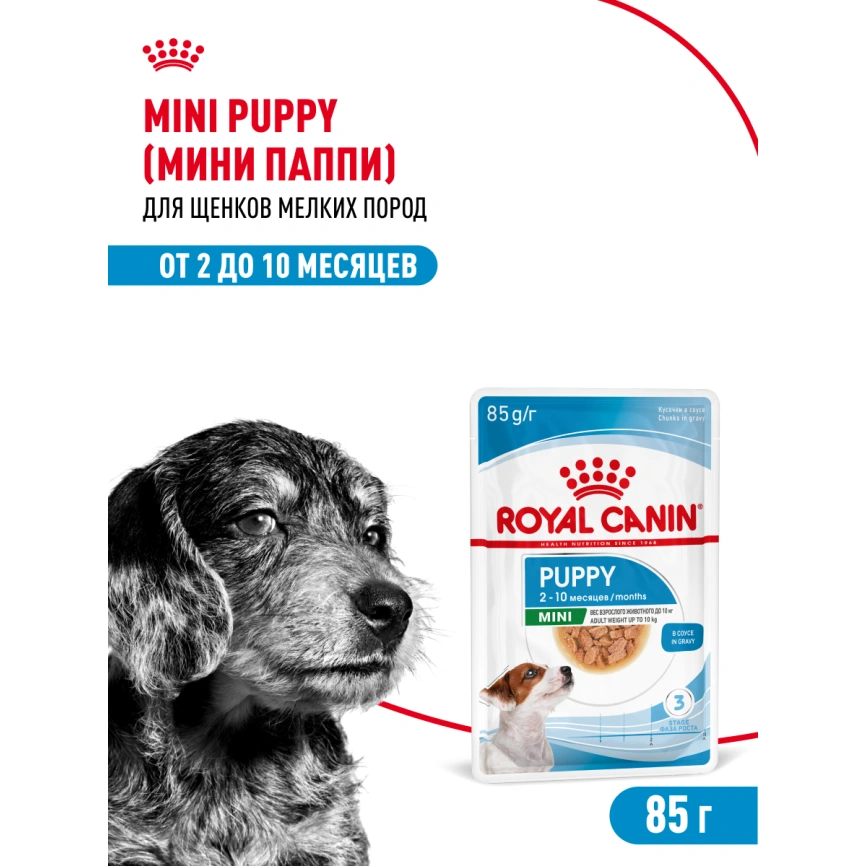 Влажный корм Royal Canin Mini Puppy в соусе для щенков мелких пород до 10 месяцев, пауч, 85 г фото 17