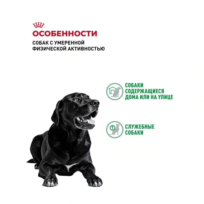 Сухой корм Royal Canin Club Adult Cс для взрослых собак, 20 кг фото 3
