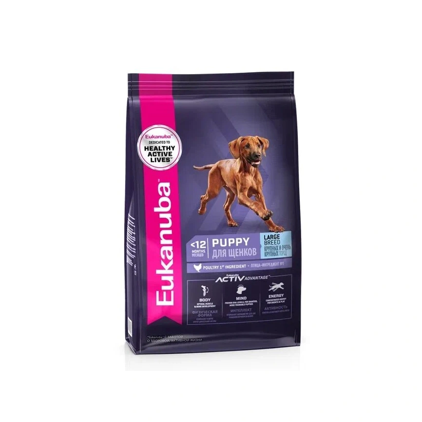 Сухой корм Eukanuba Puppy Large Breed для щенков крупных и очень крупных пород, с птицей, 3 кг фото 1