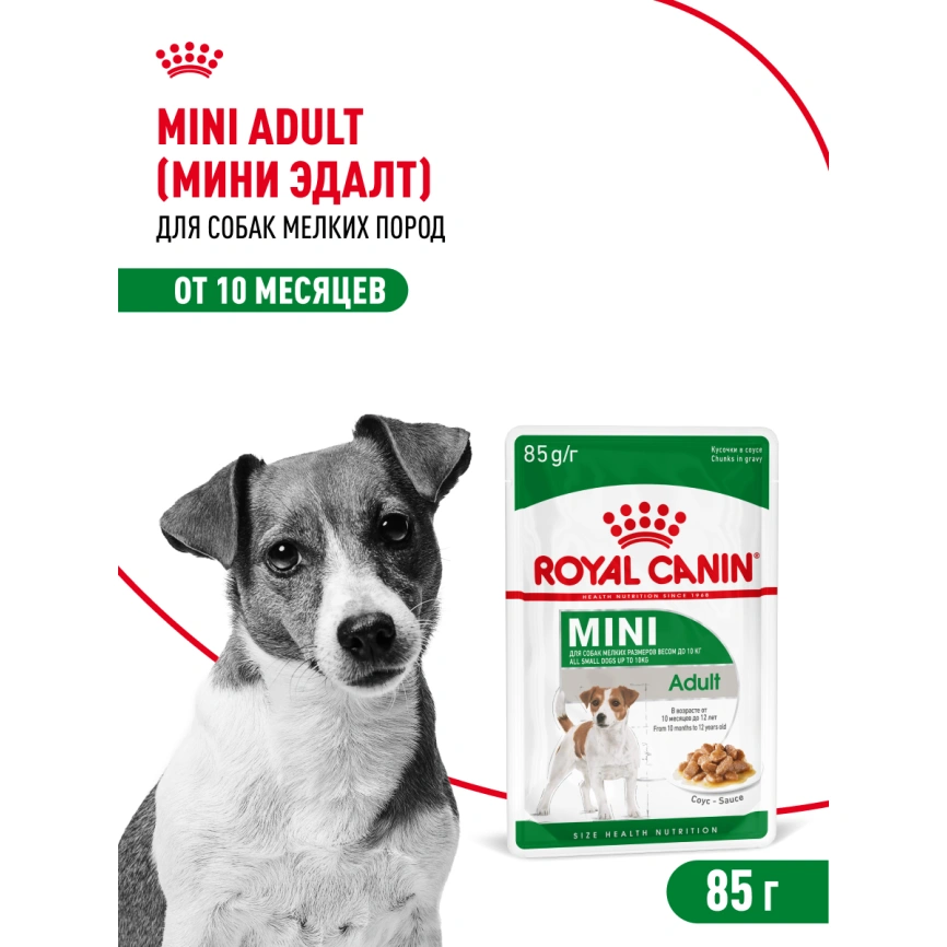 Влажный корм Royal Canin Mini Adult в соусе для взрослых собак мелких пород старше 10 месяцев, пауч, 85 г фото 21