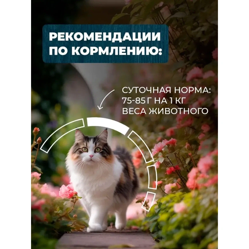 Влажный корм Родные корма Rabbit для кошек, с кроликом и сердечками кусочки в желе по-тульски для улучшения кожи и шерсти, 85 г фото 4