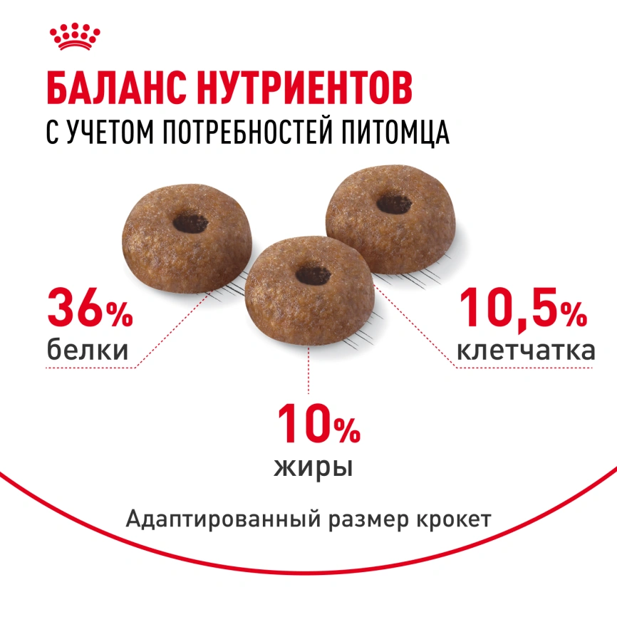 Сухой корм Royal Canin Light Weight Care для кошек, 3 кг фото 4