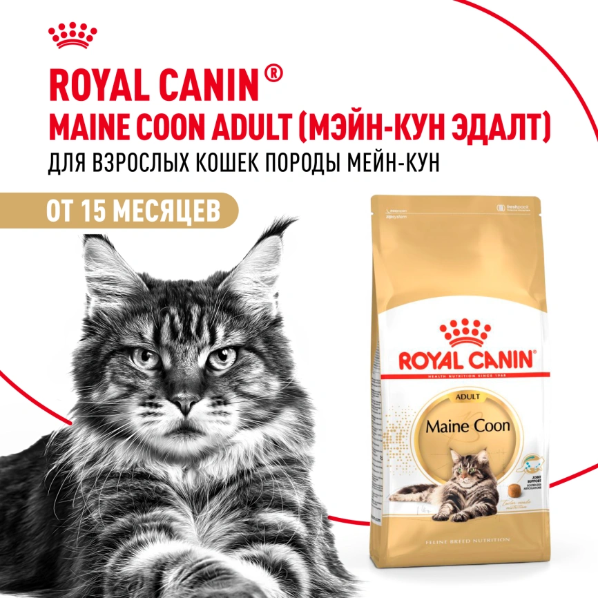 Сухой корм Royal Canin Maine Coon для кошек, 400 г фото 12