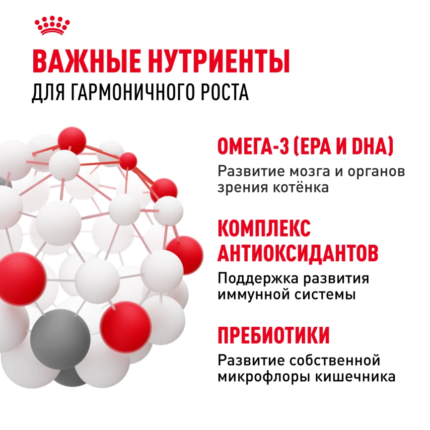 Сухой корм Royal Canin Kitten для котят, 10 кг фото 7