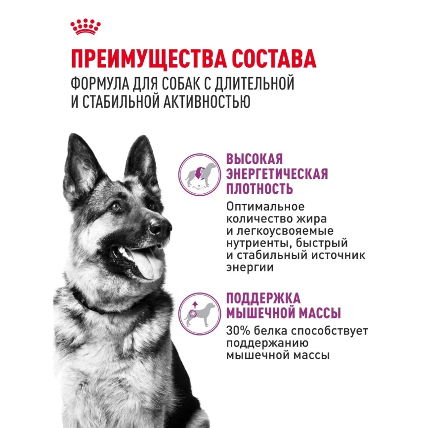 Сухой корм Royal Canin Club Energy HE, для активных собак, 20 кг фото 3