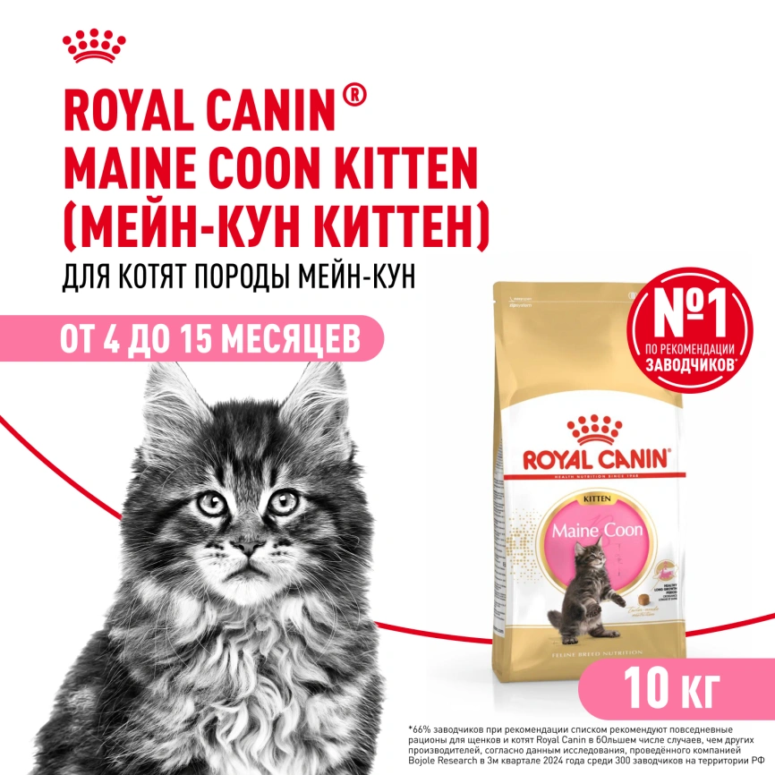 Сухой корм Royal Canin Kitten Maine Coon для котят, 10 кг фото 1