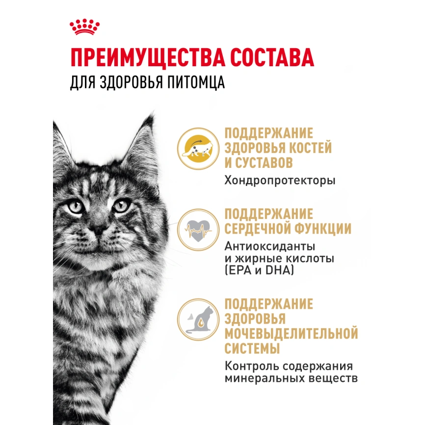 Сухой корм Royal Canin Maine Coon для кошек, 10 кг фото 24