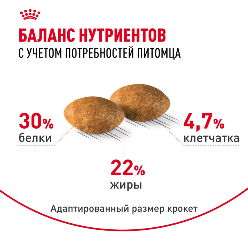 Сухой корм Royal Canin Persian для кошек персидской породы, 4 кг фото 4