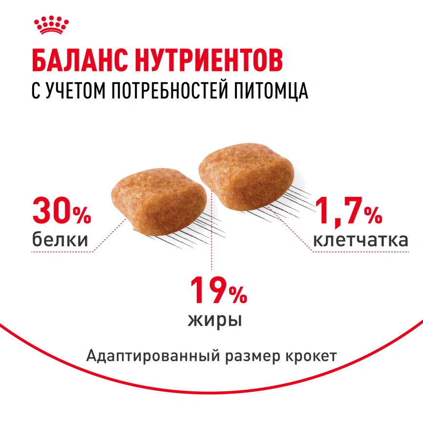 Сухой корм Royal Canin Poodle Adult для взрослых собак, 1,5 кг фото 5