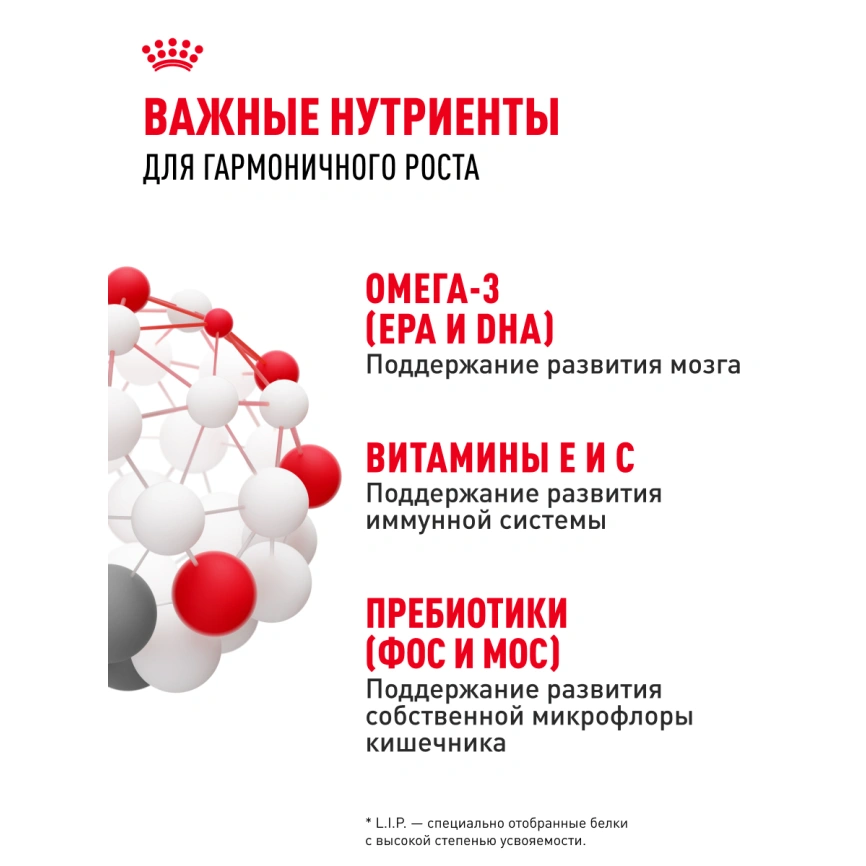 Влажный корм Royal Canin Mini Puppy в соусе для щенков мелких пород до 10 месяцев, пауч, 85 г фото 5