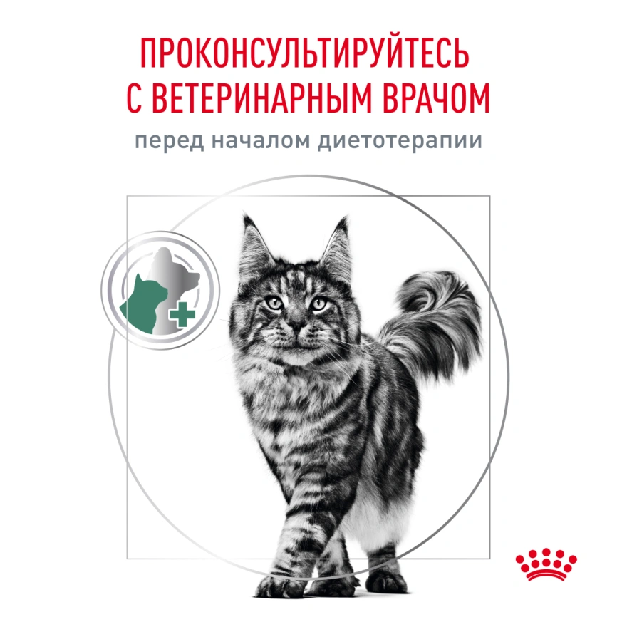 Сухой корм Royal Canin Diabetiс для кошек, 1,5 кг фото 7