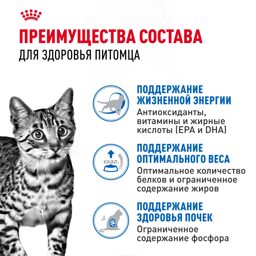 Влажный корм Royal Canin Indoor 7+ в желе для кошек старше 7 лет, живущих в помещении, пауч, 85 г фото 3