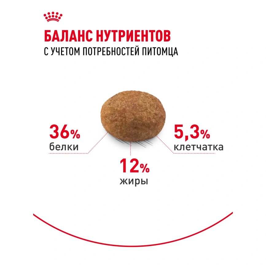 Сухой корм Royal Canin Sterilised 7+ для стерилизованных кошек и кастрированных котов, 1.5 кг фото 17