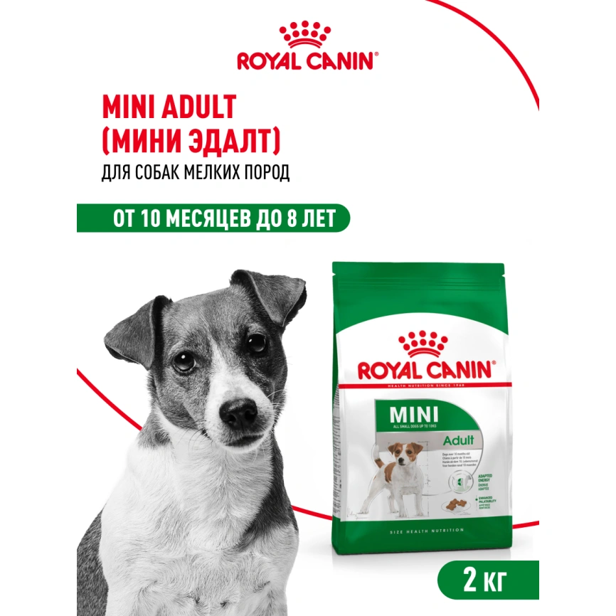 Сухой корм Royal Canin Mini Adult для взрослых собак, 2 кг фото 13