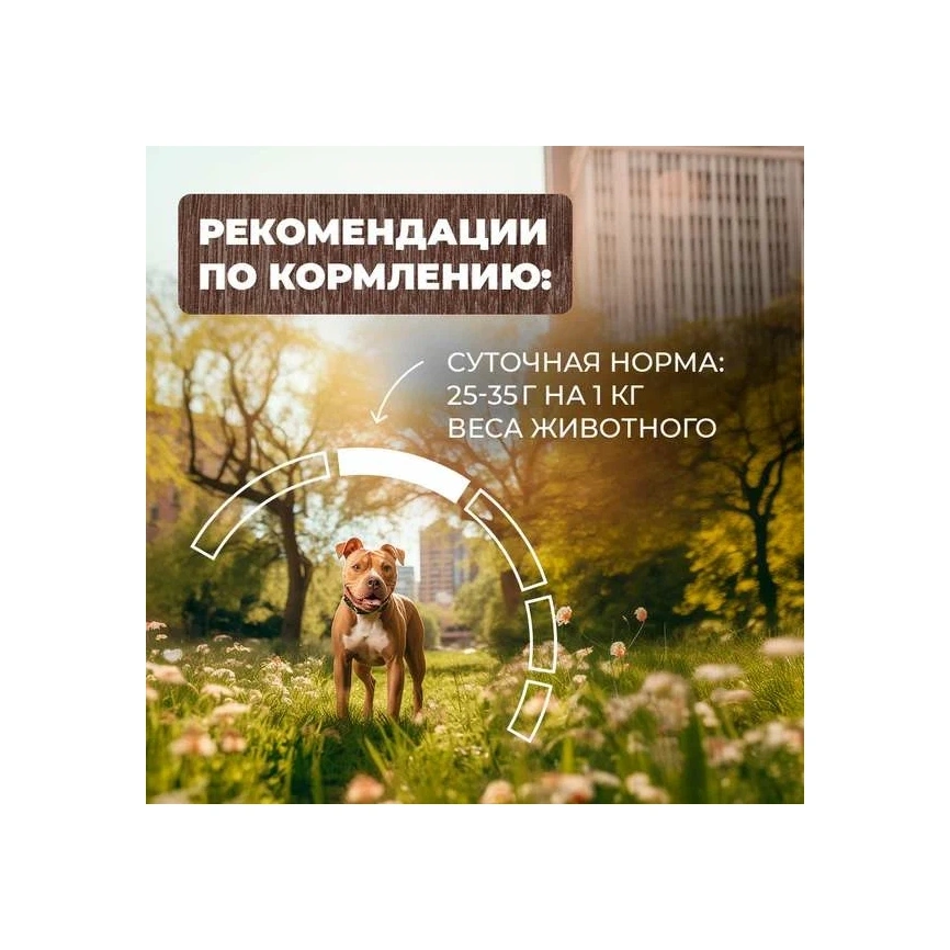 Влажный корм Родные корма для собак, скоблянка мясная по-городецки, 410 г фото 5