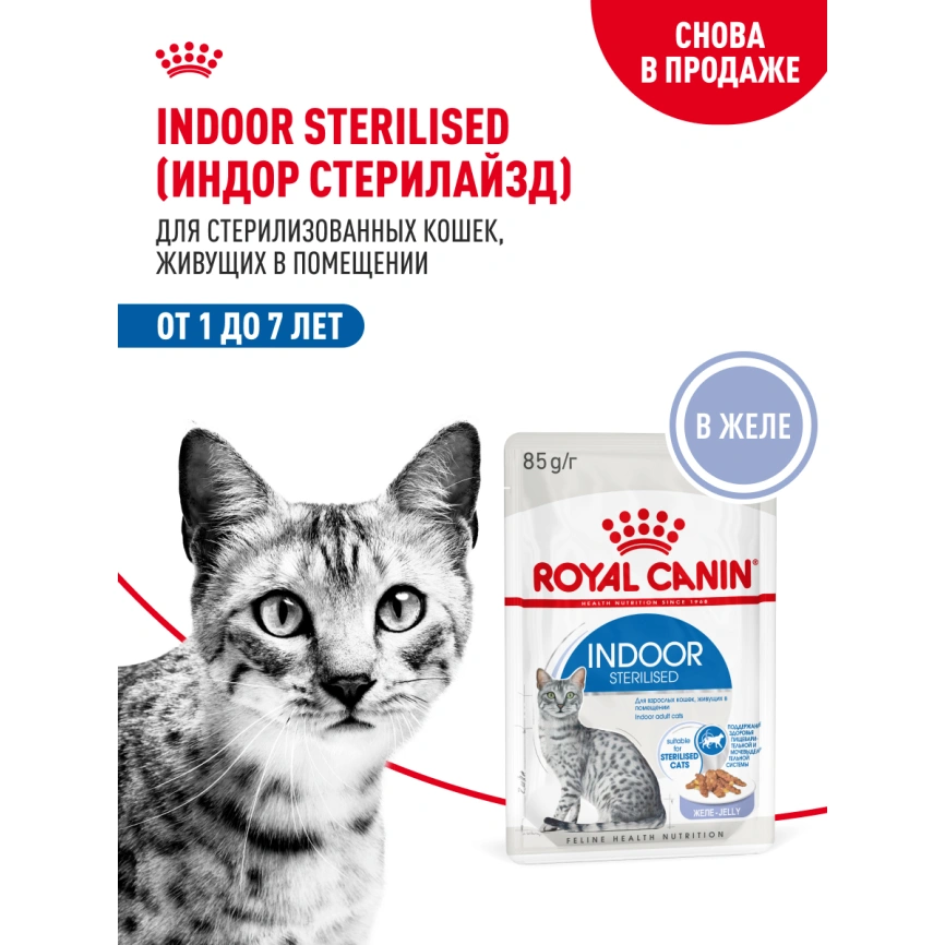 Влажный корм Royal Canin Indoor sterilised в желе для кошек, живущих в помещении, пауч, 85 г фото 14