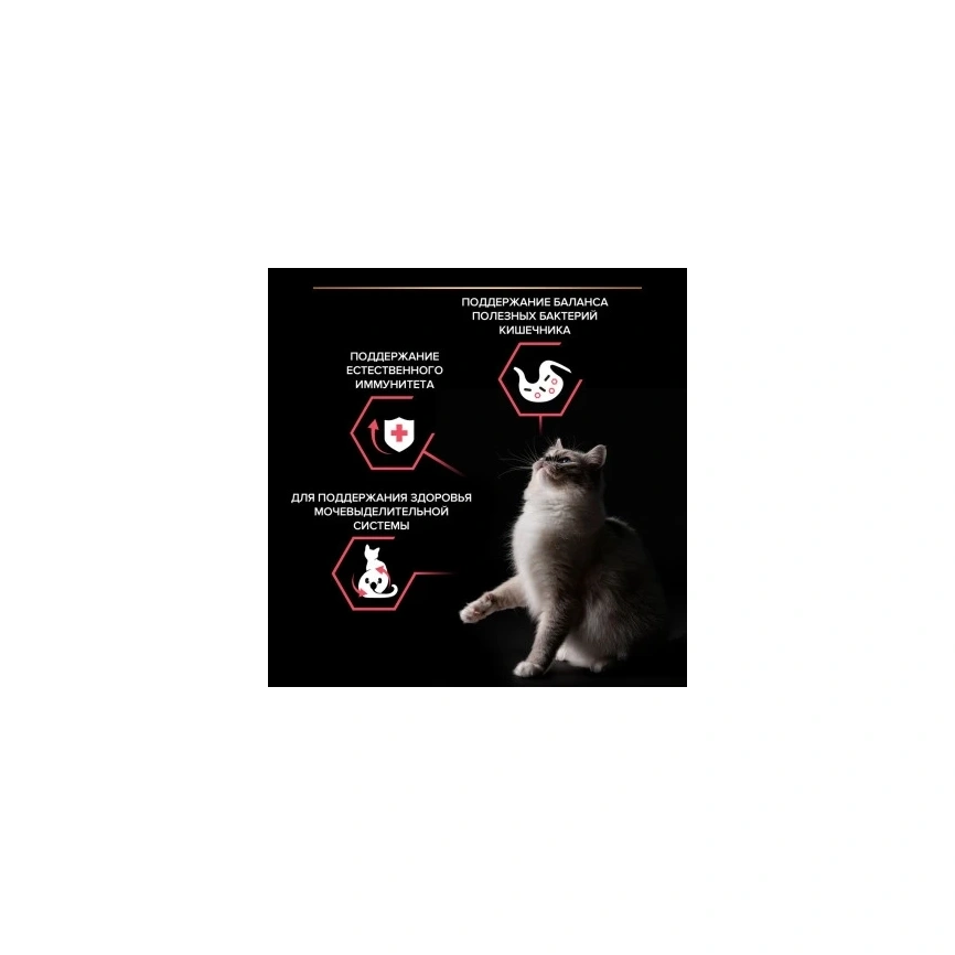 Сухой корм PRO PLAN Nature Elements Chicken для взрослых стерилизованных кошек и кастрированных котов, с высоким содержанием курицы, 1,4 кг фото 2