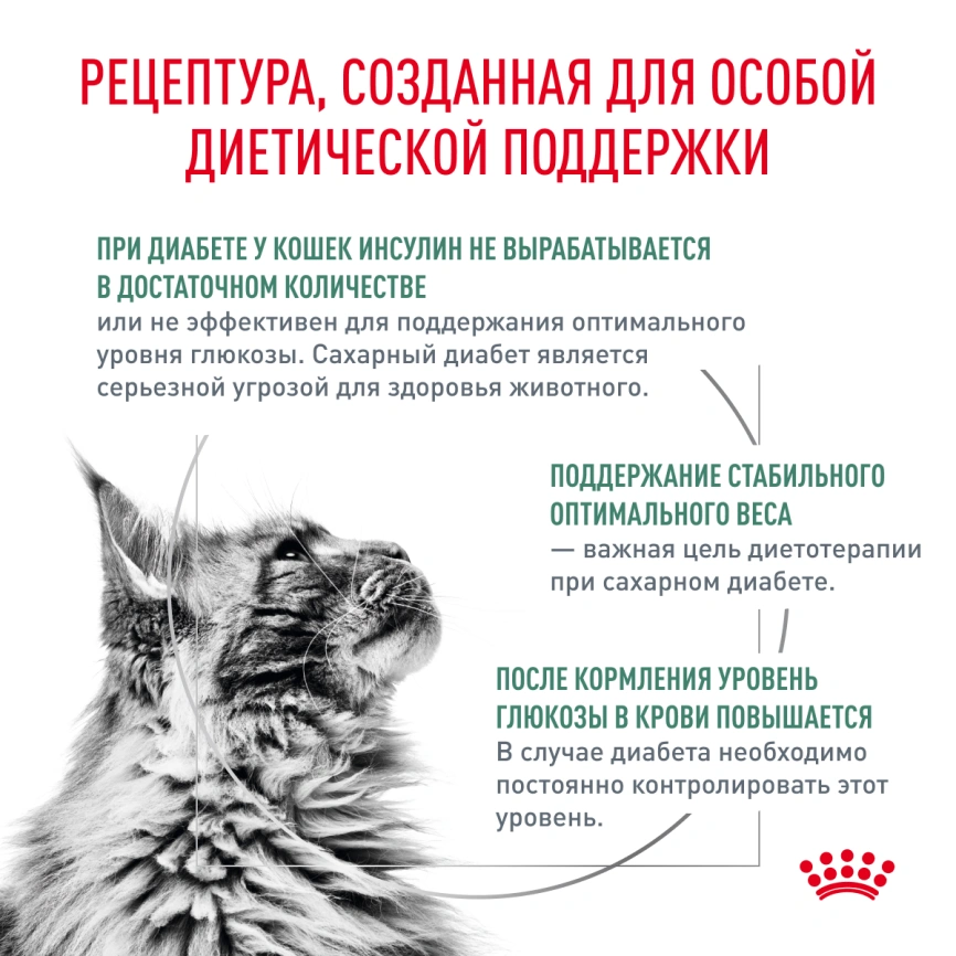 Сухой корм Royal Canin Diabetiс для кошек, 350 г фото 2