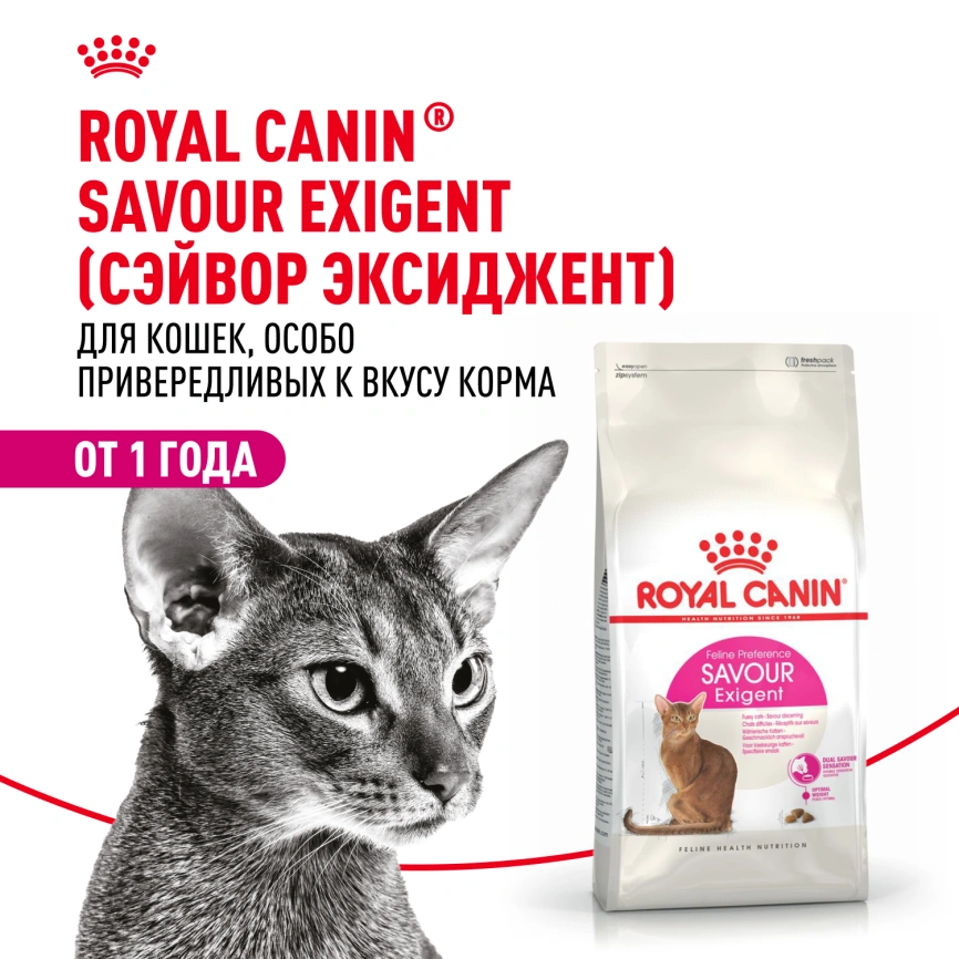 Сухой корм Royal Canin Savour Exigent для кошек, 400 г фото 13