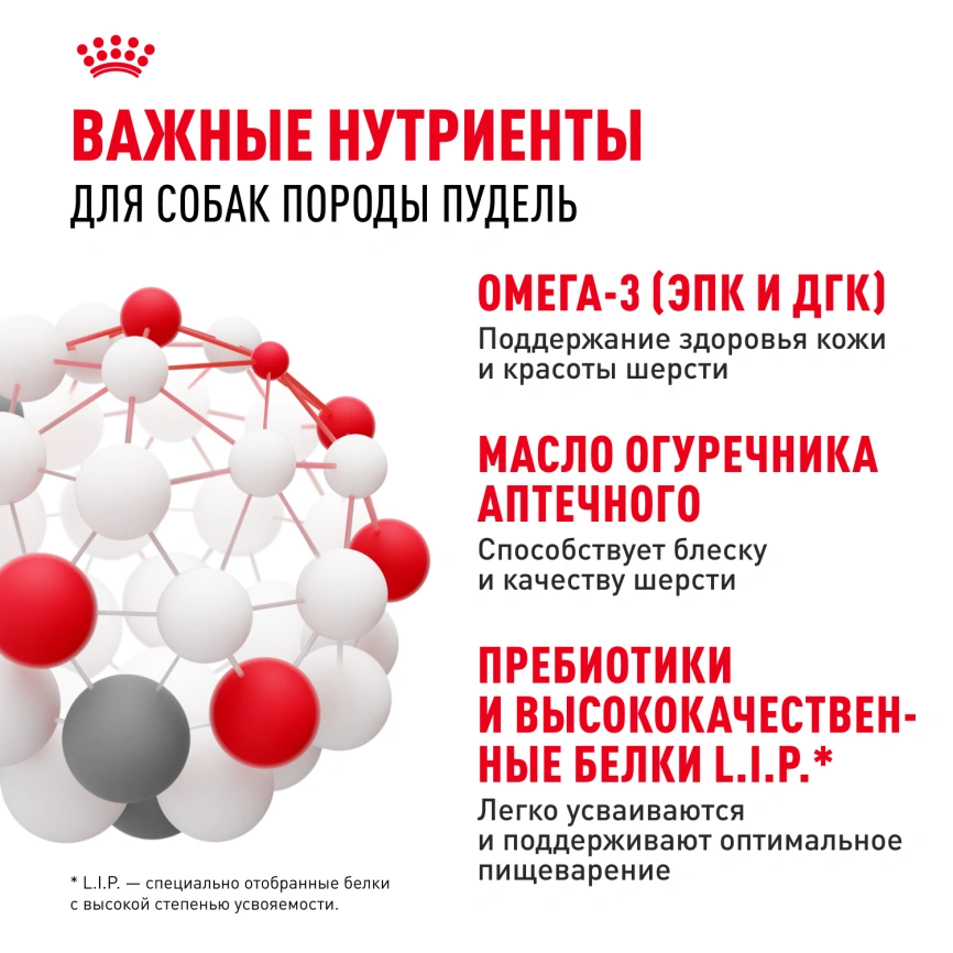 Сухой корм Royal Canin Poodle Adult для взрослых собак, 1,5 кг фото 4