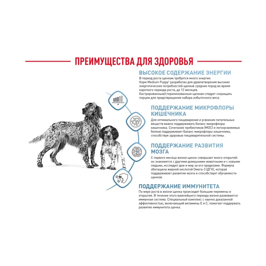 Сухой корм Royal Canin Medium Puppy для щенков, 14 кг фото 15