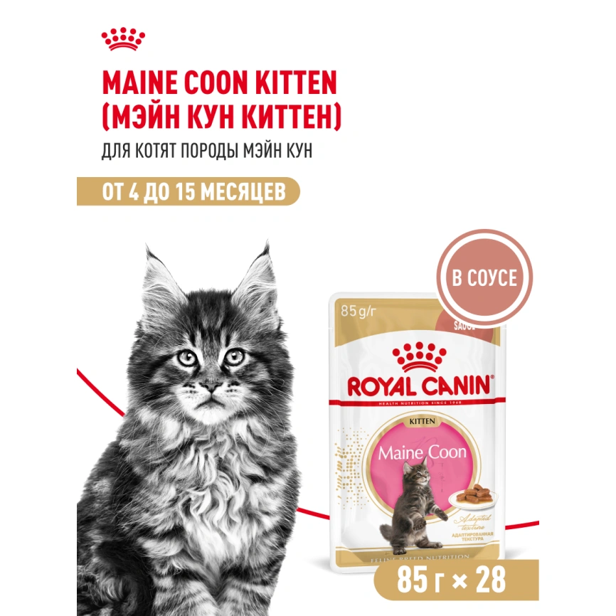 Влажный корм Royal Canin Maine Coon Kitten в соусе для котят породы мейн-кун и других крупных пород старше 3 месяцев, пауч, 85 г фото 14