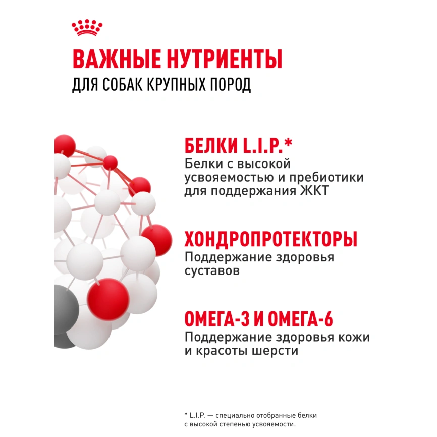 Сухой корм Royal Canin Maxi Adult для собак, 15 кг фото 17