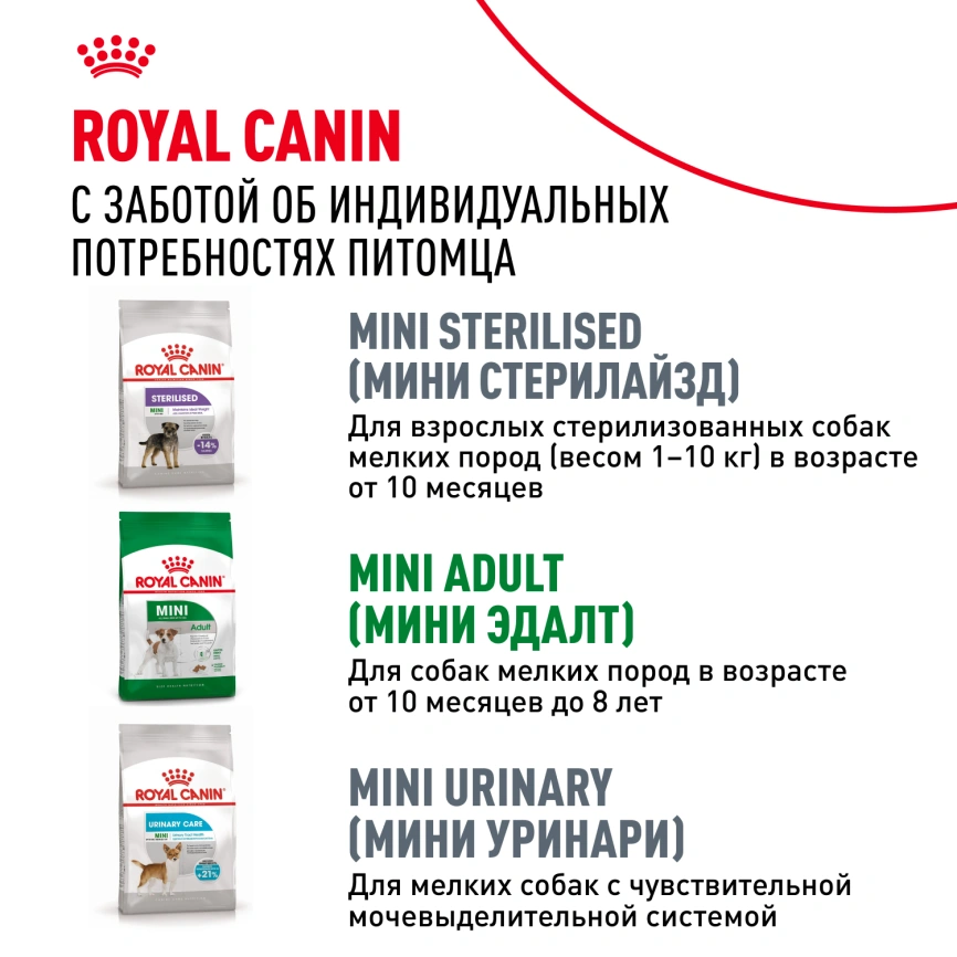 Сухой корм Royal Canin Mini Adult 8+ для пожилых собак, 2 кг фото 8