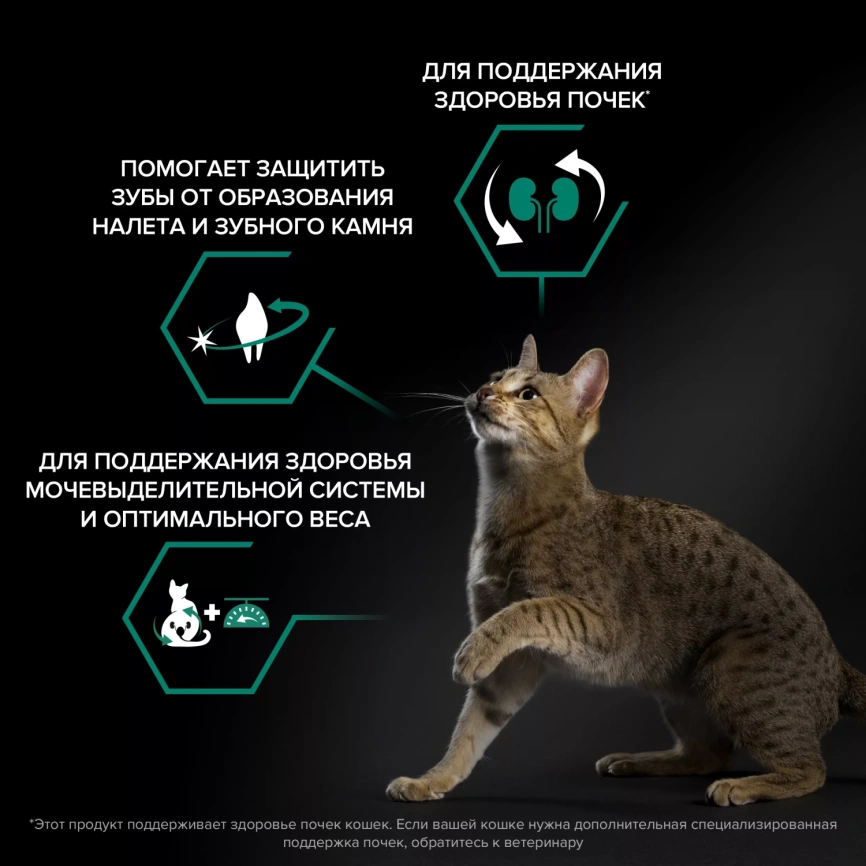Сухой корм PRO PLAN Turkey для стерилизованных кошек и кастрированных котов, с высоким содержанием индейки, 400 г фото 3