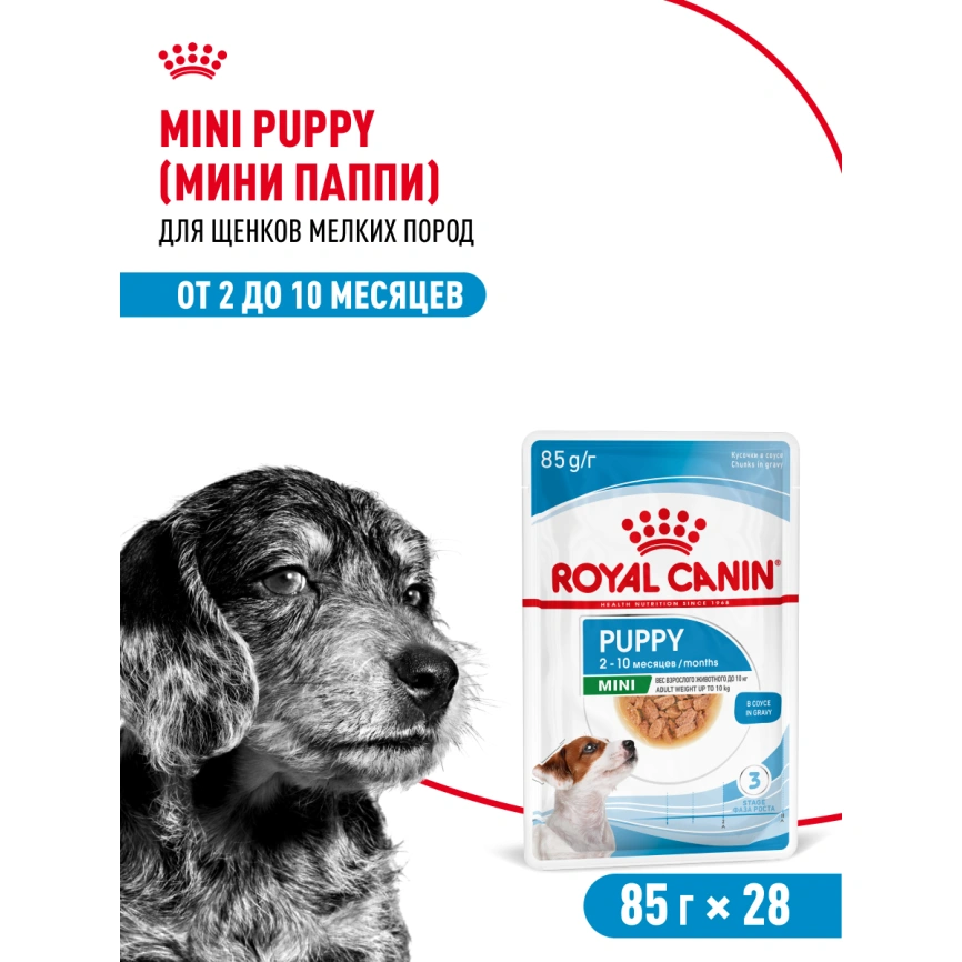 Влажный корм Royal Canin Mini Puppy в соусе для щенков мелких пород до 10 месяцев, пауч, 85 г фото 18