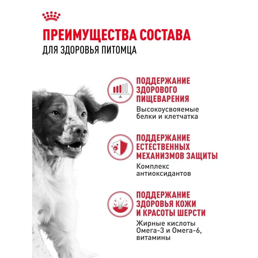 Сухой корм Royal Canin Medium Adult для собак, 3 кг фото 15